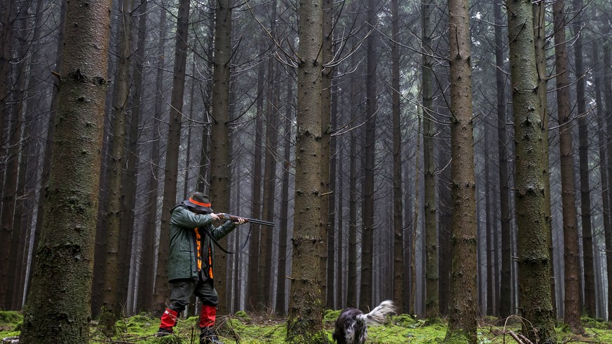 Ein Jaeger von der Jagdgesellschaft Neudorf ist auf der Jagd im Lindenwald am Mittwoch, 26. Oktober 2016, in Neudorf. (KEYSTONE/Alexandra Wey)