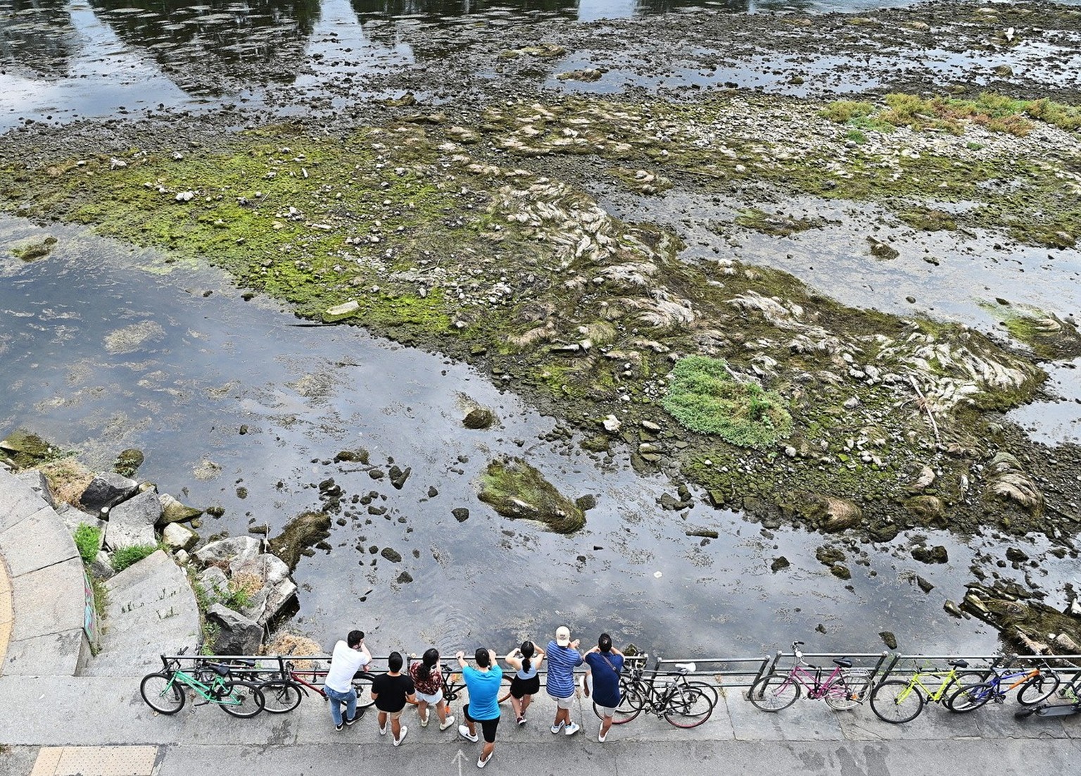 epa10025508 The nearly dry bed of the Po River near the Michelotti Dam in Turin, Italy, 21 June 2022. Northern Italy has been struggling with a drought that began in winter, following spring rains ins ...