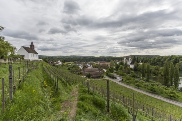 Das Weinland ist der zweite vorgeschlagene Standort für ein Tiefenlager.