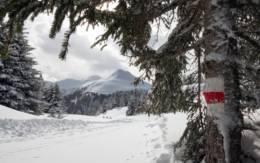 Rauszeit Kurze Winterwanderungen Muttner Höhi Obermutten 374