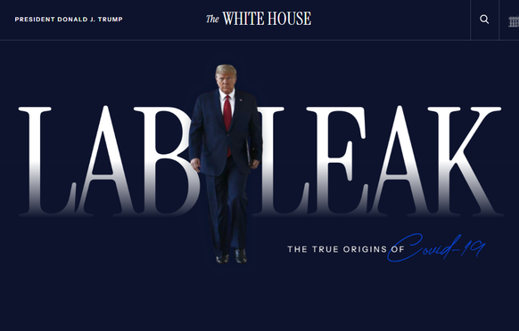 corona white house weisses haus