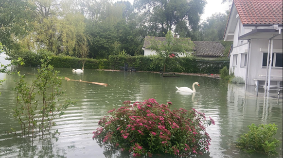 Der Bielersee tritt über die Ufer.