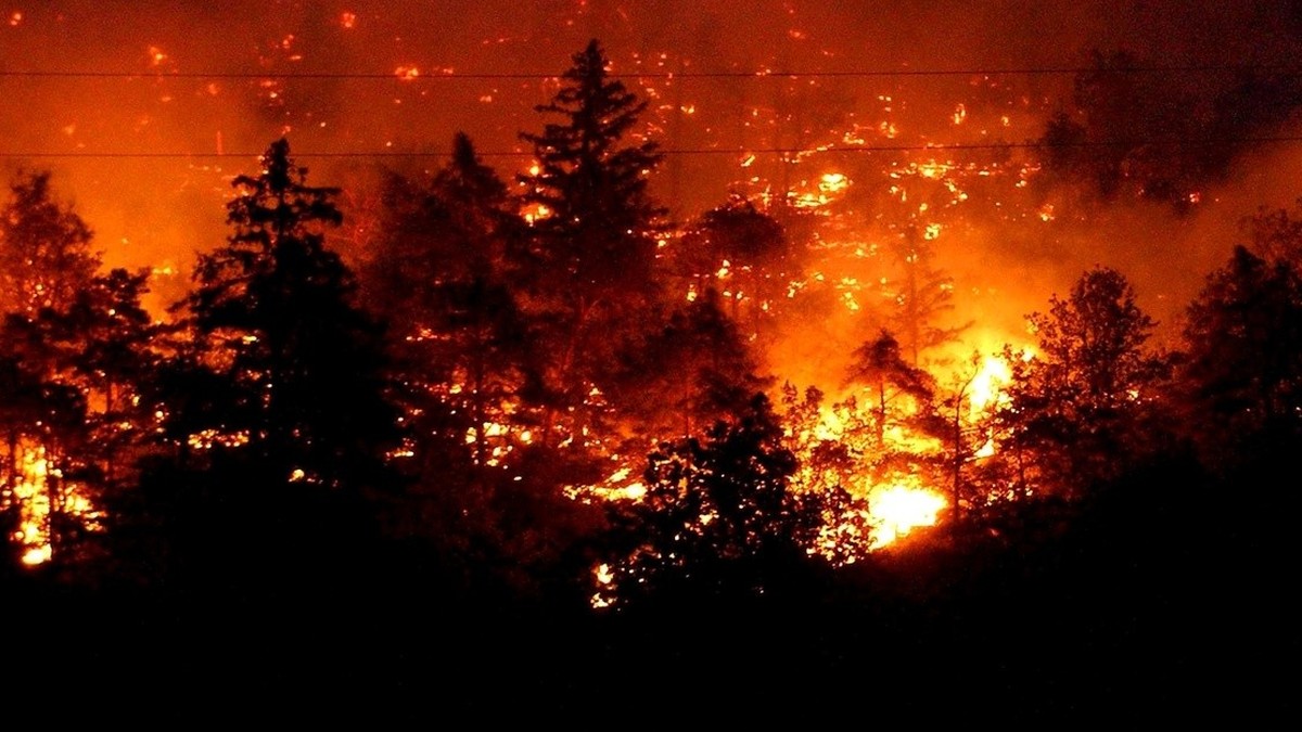 A burning wildfire makes its way up a forest at the surroundings of the Swiss village of Leuk in southern Switzerland, late Wednesday, August 13, 2003. Due to the drought, several wildfires erupted ov ...