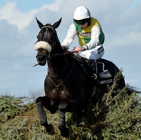 Der Sieger: Many Clouds.