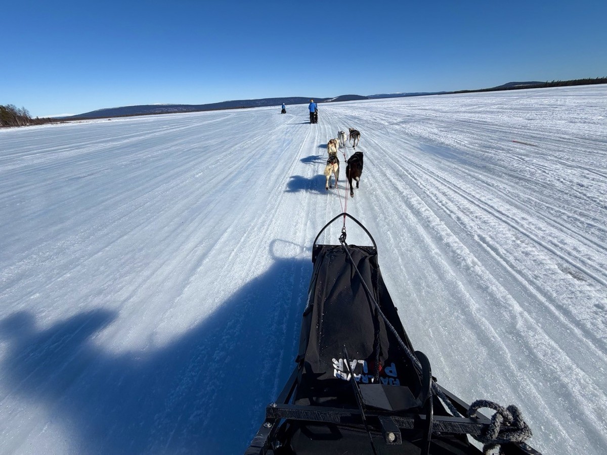 Fjällräven Polar 2026 Reto Fehr Schweden Lappland Schlittenhunde
