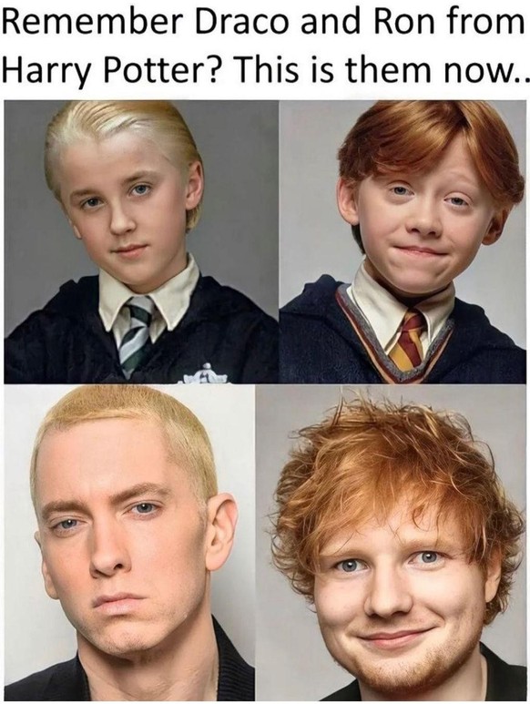Harry Potter - The best memes about the film series