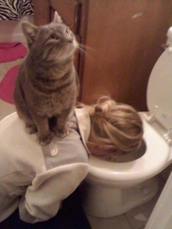 Katze sitzt auf sich übergebenden Person
Cute News
http://www.ebaumsworld.com/pictures/21-pictures-that-prove-animals-are-complete-jerks/84305705/