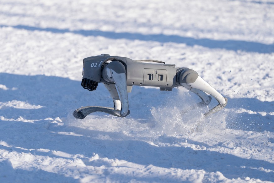 A robotic dog gallops through snow at the annual Ice and Snow Festival held in Harbin in China's Heilongjiang province on Sunday, Jan. 4, 2026. (AP Photo/Ng Han Guan)
China Ice and Snow Festival
