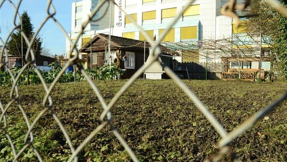 In diesem Schrebergarten im Schlieremer Stadtteil Ifang sollen zwei Stadtpolizisten den Schrebergarten-Pächter körperlich misshandelt haben.