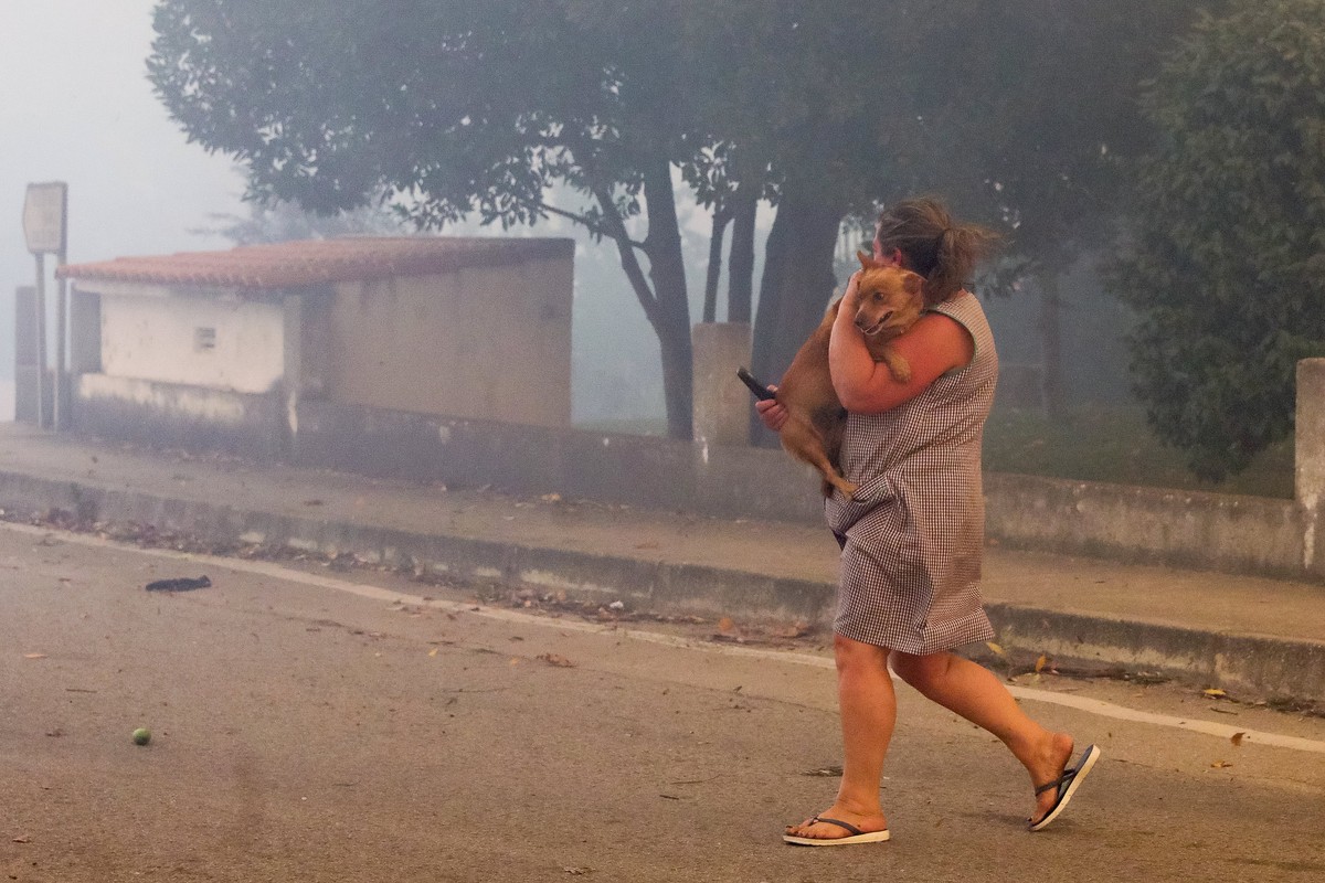 epa06267763 A woman carries a dog during a forest fire in Vila Nova de Poiares, Lousa, Portugal, 15 October 2017. The National Civil Protection Authority (ANPC) said it 'was the worst day of the  ...