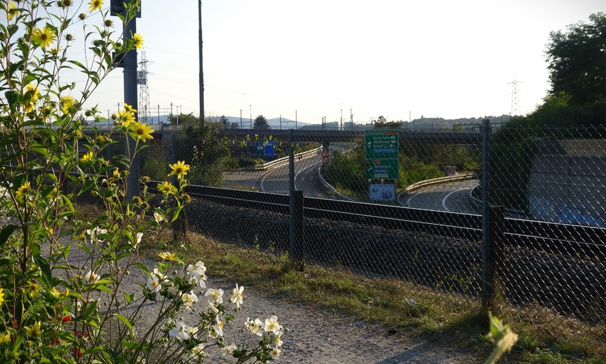 Reportage aus dem Familiengarten Scheuerrain in Muttenz, der wegen des geplanten Rheintunnels mit dem nationalen Autobahnausbau platt gemacht werden soll.