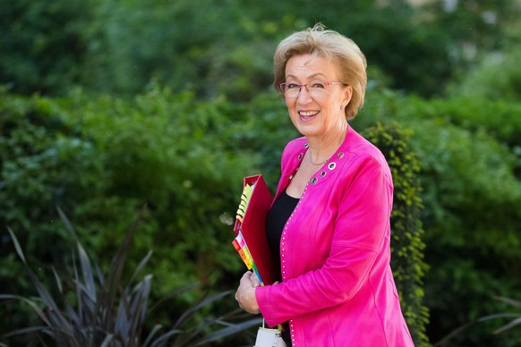 epa07592873 (FILE) - Britain&#039;s Leader of the House of Commons, Lord President of the Council, Andrea Leadsom arrives for a Cabinet meeting in Downing Street, London, Britain, 21 May 2019 (reissue ...