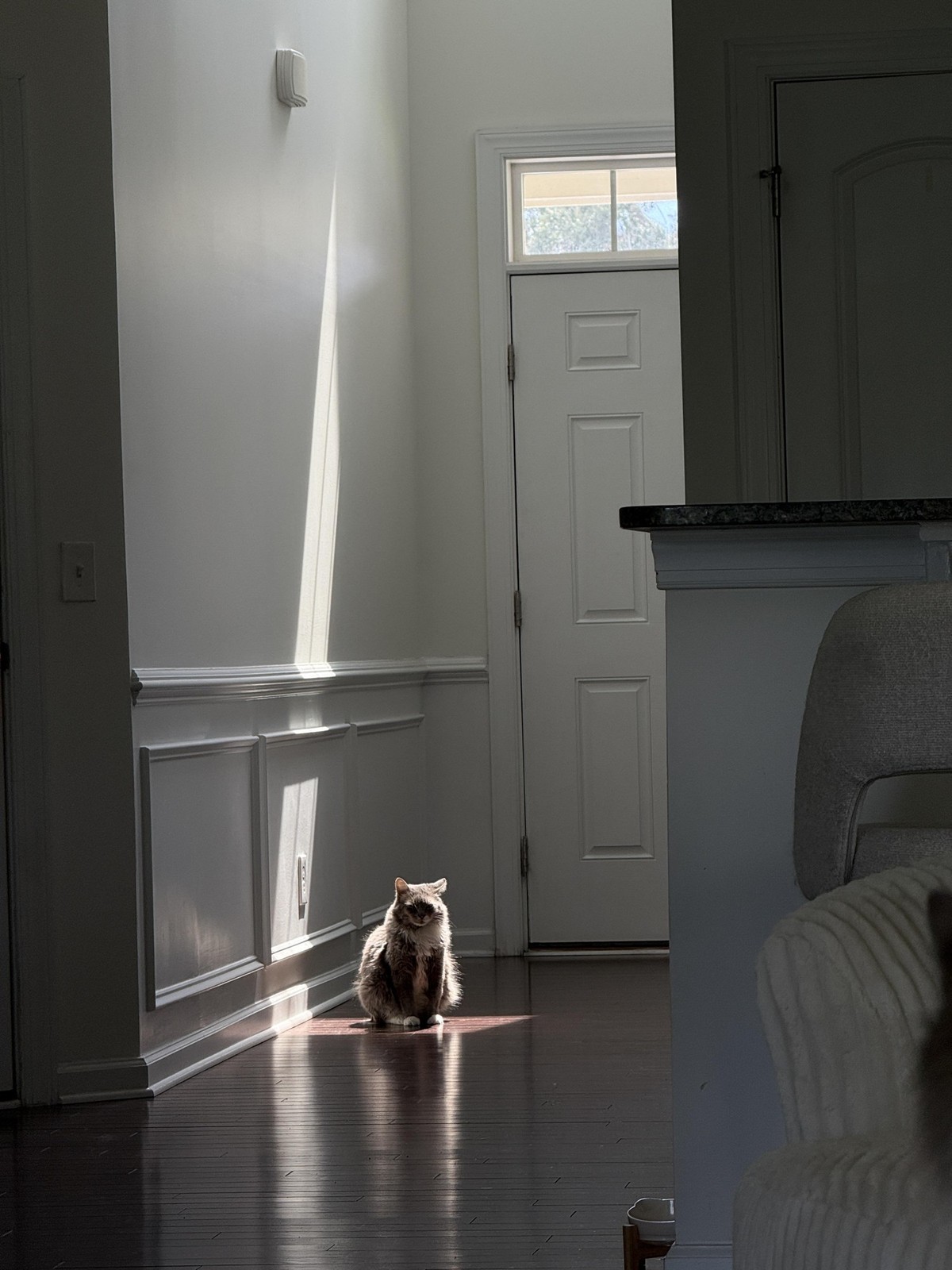 Everything the light touches is yours
accidental renaissance
https://www.reddit.com/r/AccidentalRenaissance/comments/1vtvycg/everything_the_light_touches_is_yours/