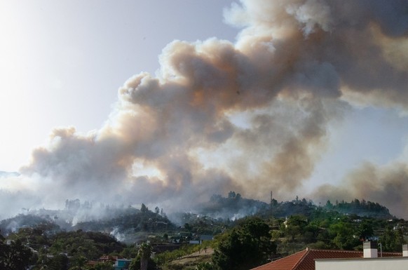 epa10747496 Smoke billows from a forest fire in Punta Gorda, La Palma Islands, Canary Islands, Spain, 15 July 2023. Canary Islands Government issued a Level 2 emergency alert over forest fire that eru ...