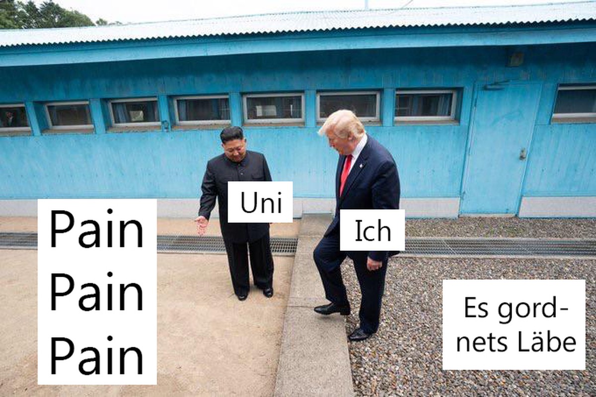 Bild