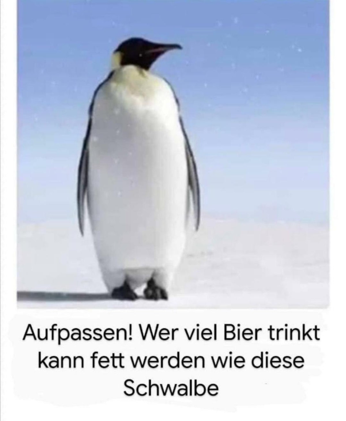 Bitte LГ¶sen: Herzlich willkommen zum P******P!\nрџЌєрџЌ»
