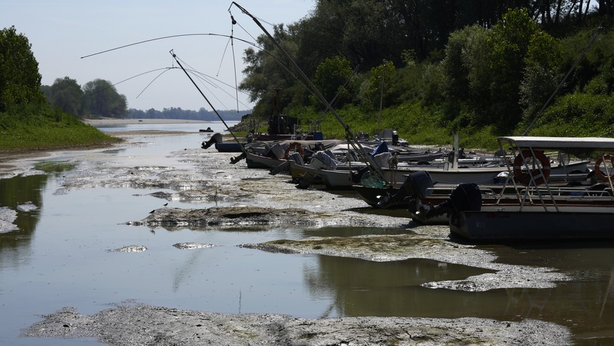 Boats dock at a tourist harbor long the Po river in Torricella, northern Italy, Thursday, July 14, 2022. Italy&#039;s drought has dried up rivers crucial for irrigation threatening some 3 billion euro ...