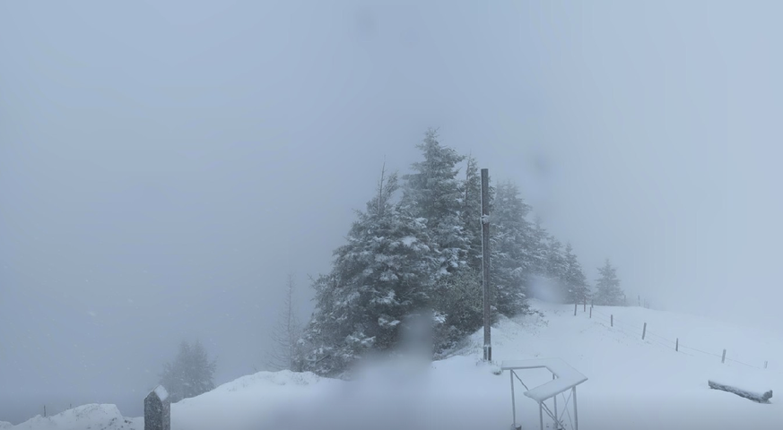 Wildspitz Schnee 12.5.26