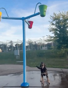 Animiertes GIF