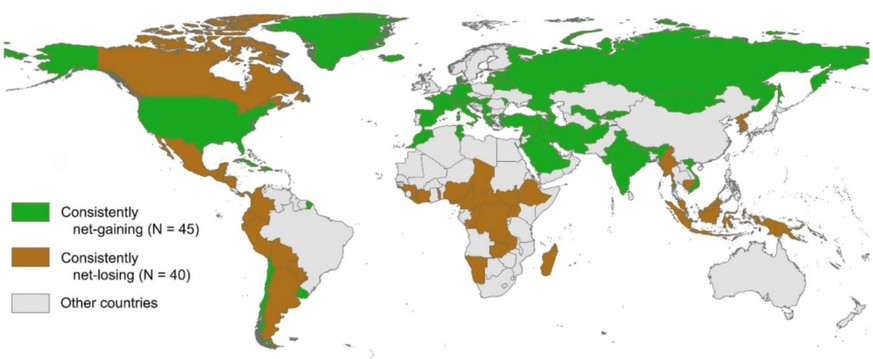 Globales Waldsterben: Länder, die konstant Wald verloren (braun) und Länder, die konstant Wald aufforsteten (grün). &quot;Other Countries&quot;: Weder konstant verloren noch konstant gewonnen.
