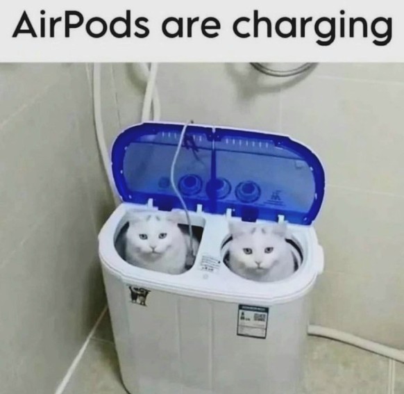 Apple Meme