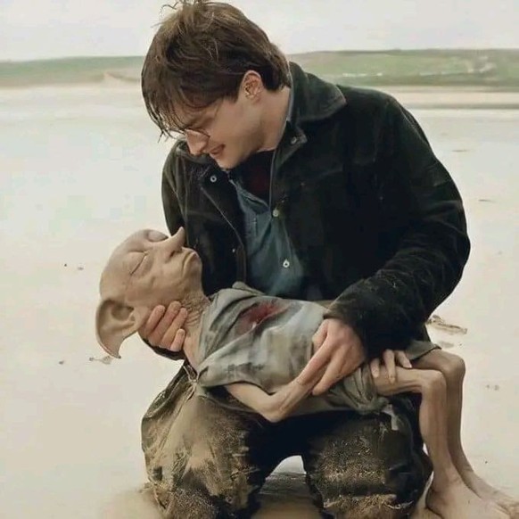 harry potter dobby