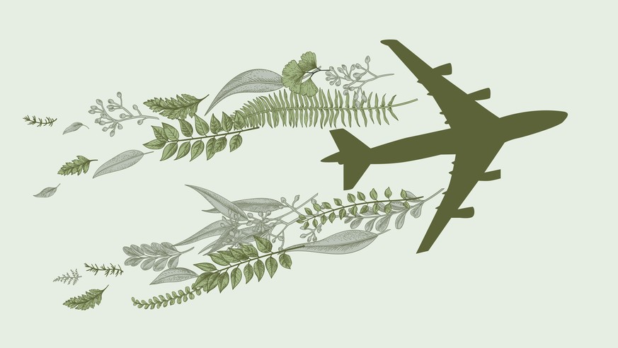 CO2, Emissionen, Abgas, Klima, Klimaneutral, Kompensieren, Myclimate, Umwelt, Flugzeug