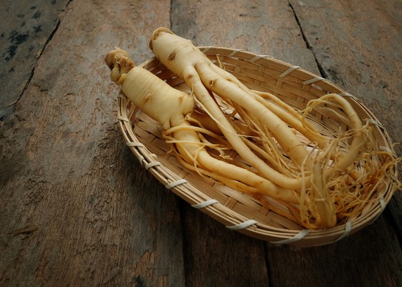 Ginseng