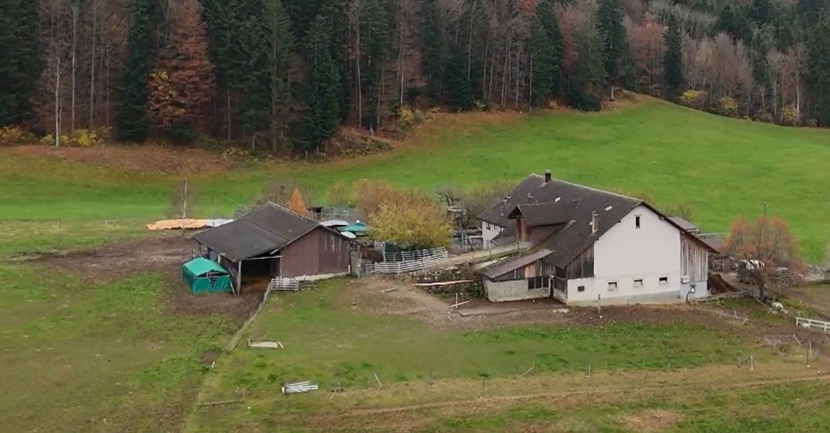 120-verwahrloste-Hunde-auf-Hof-in-Ramiswil-SO-eingeschl-fert-das-ist-passiert