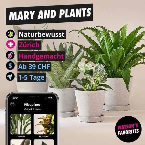 Die Pflanzen von <a target="_blank" rel="nofollow" href="https://maryandplants.ch/?utm_source=watson&amp;utm_medium=watsons_favorites">Mary and Plants</a> und die MaryCare-App.   