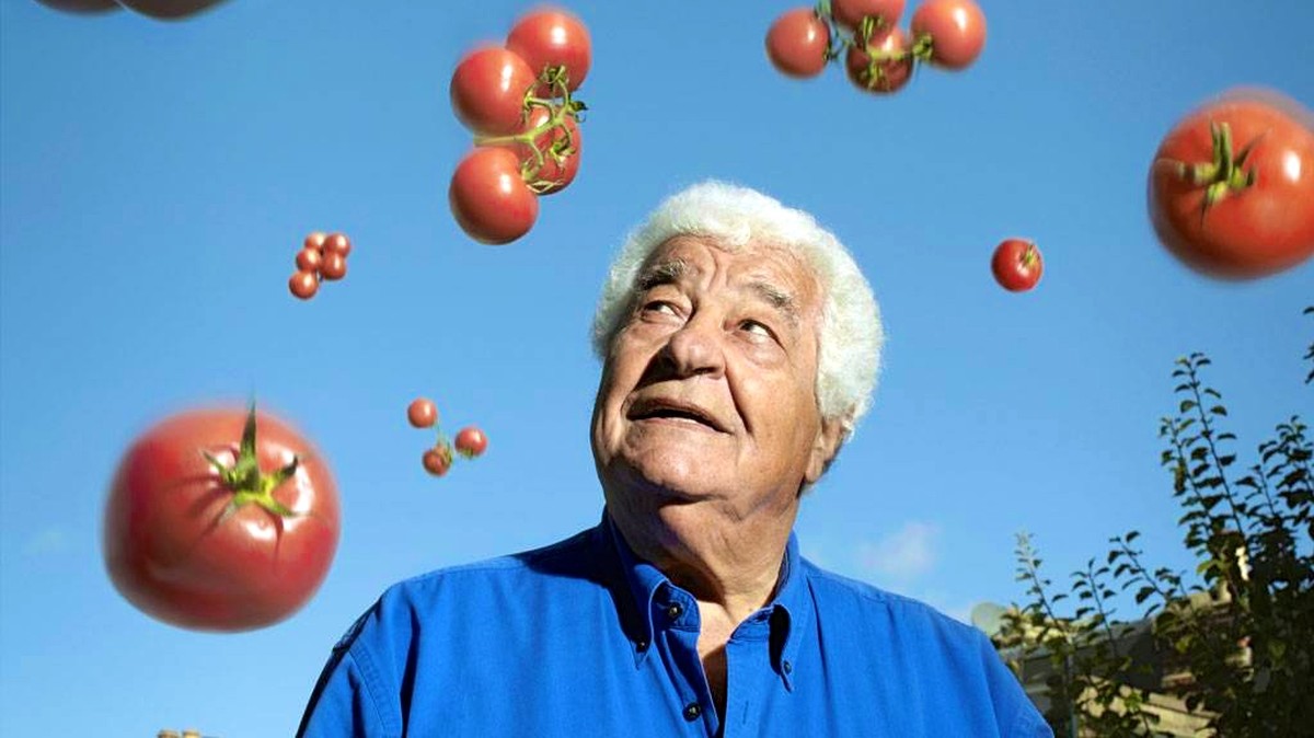 antonio carluccio chef koch essen food kochen italien italia piemonte london england 
http://www.independent.co.uk/life-style/food-and-drink/features/antonio-carluccio-getting-back-my-appetite-for-lif ...