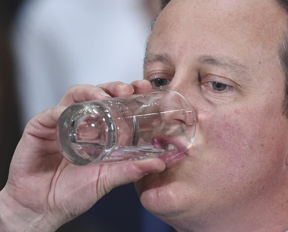 Premier David Cameron musste sich wegen der Panama Papers erklären.<br data-editable="remove">