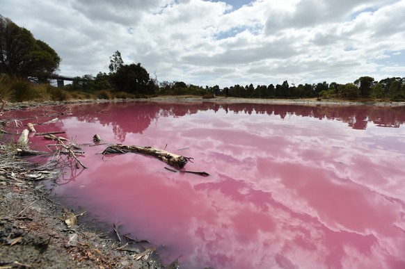 epa07464441 General view of the pink lake at Westgate Park, Melbourne, Australia, 26 March 2019. Water in the lake at Westgate park has turned pink due to high salt levels and has become a popular tou ...