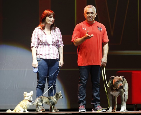 Cesar Millan mit seinem Hund Junior während seiner Europa-Tour. Hier im September in Wien.