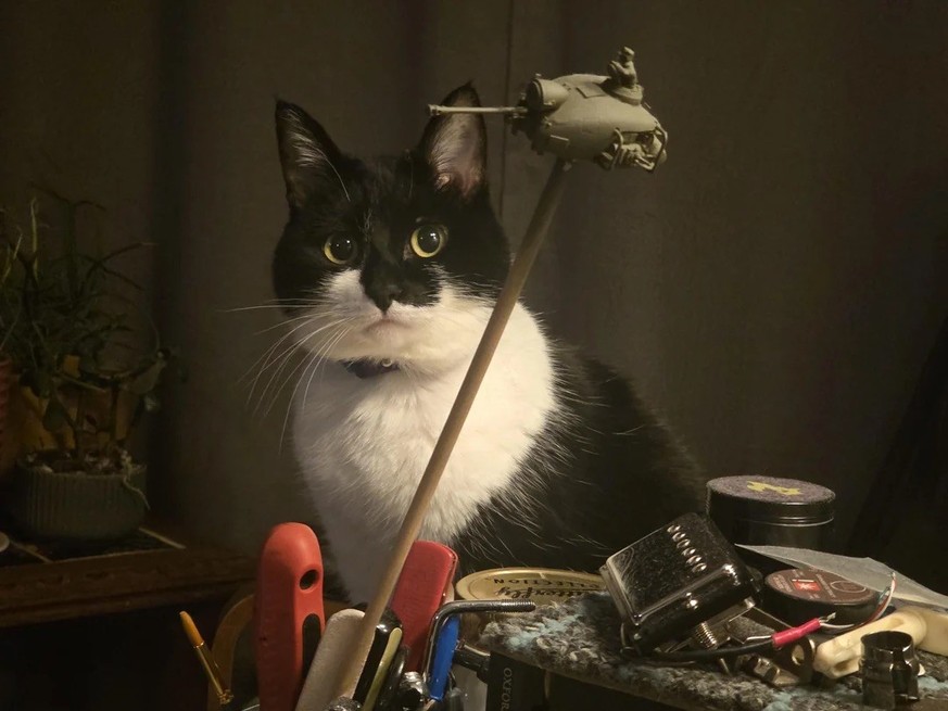 AccidentalRenaissance
Joan Jett wants my beef jerkey

https://www.reddit.com/media?url=https%3A%2F%2Fpreview.redd.it%2Fjoan-jett-wants-my-beef-jerkey-v0-gym9y0kj9rog1.jpeg%3Fwidth%3D1080%26crop%3Dsmar ...