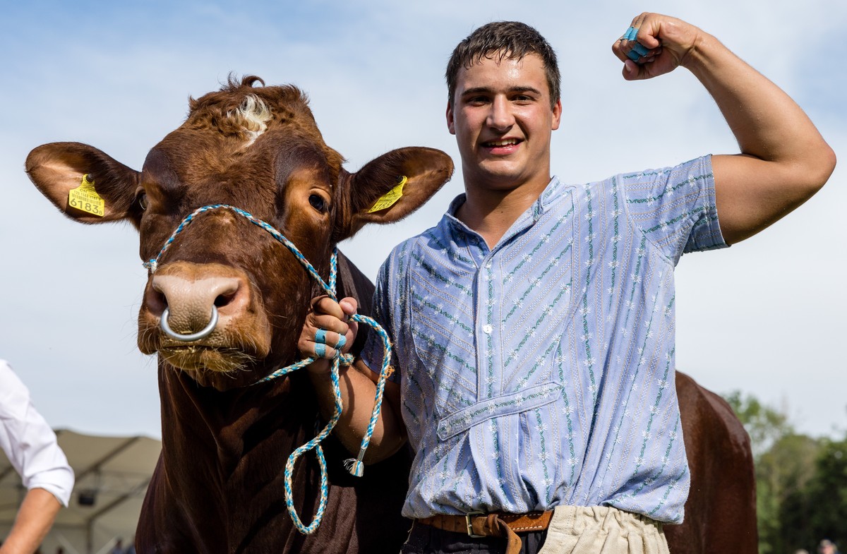 Werner Schlegel posiert mit Siegermuni Bruno nach dem Sieg am Nordwestschweizer Schwingfest am Sonntag, 7. August 2022 in Brugg. (KEYSTONE/Philipp Schmidli)