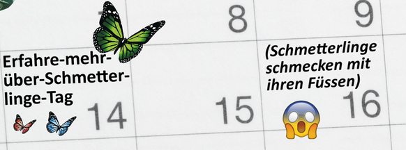 Ja, es gibt tatsächlich einen Erfahre-mehr-über-Schmetterlinge-Tag.