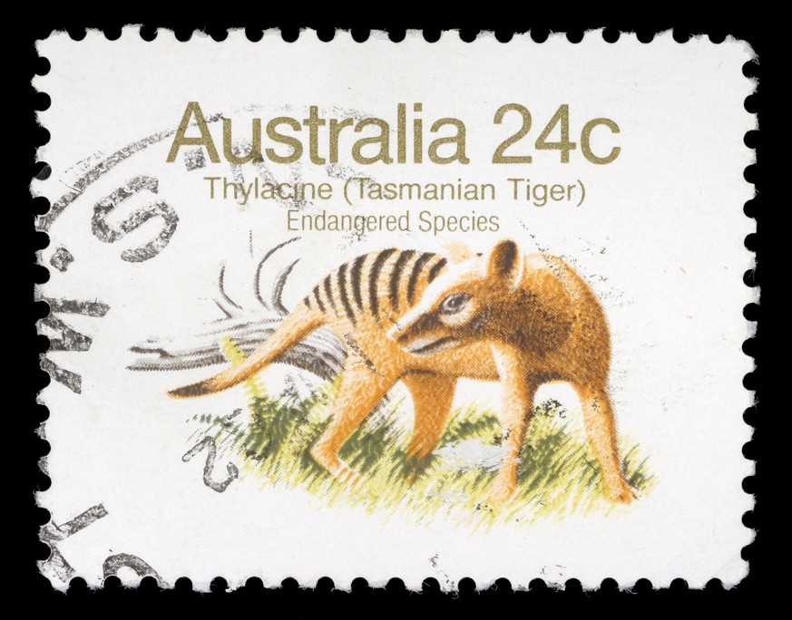 Eine Briefmarke mit dem Tasmanischen Tiger aus dem Jahr 1981 – damals hoffte man noch, überlebende Exemplare finden zu können.