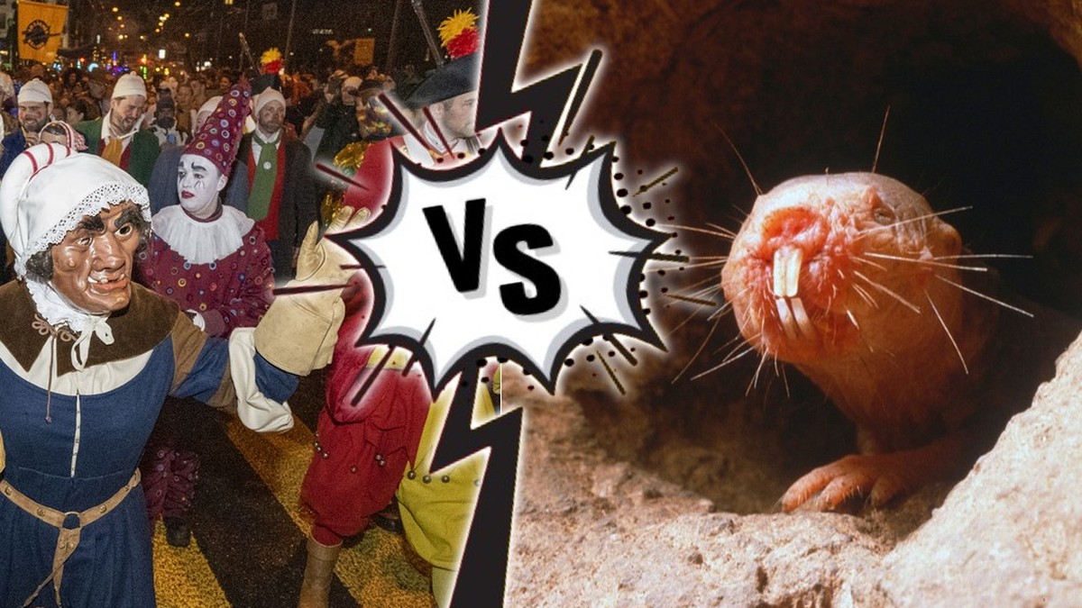 Fasnacht vs. Nacktmull