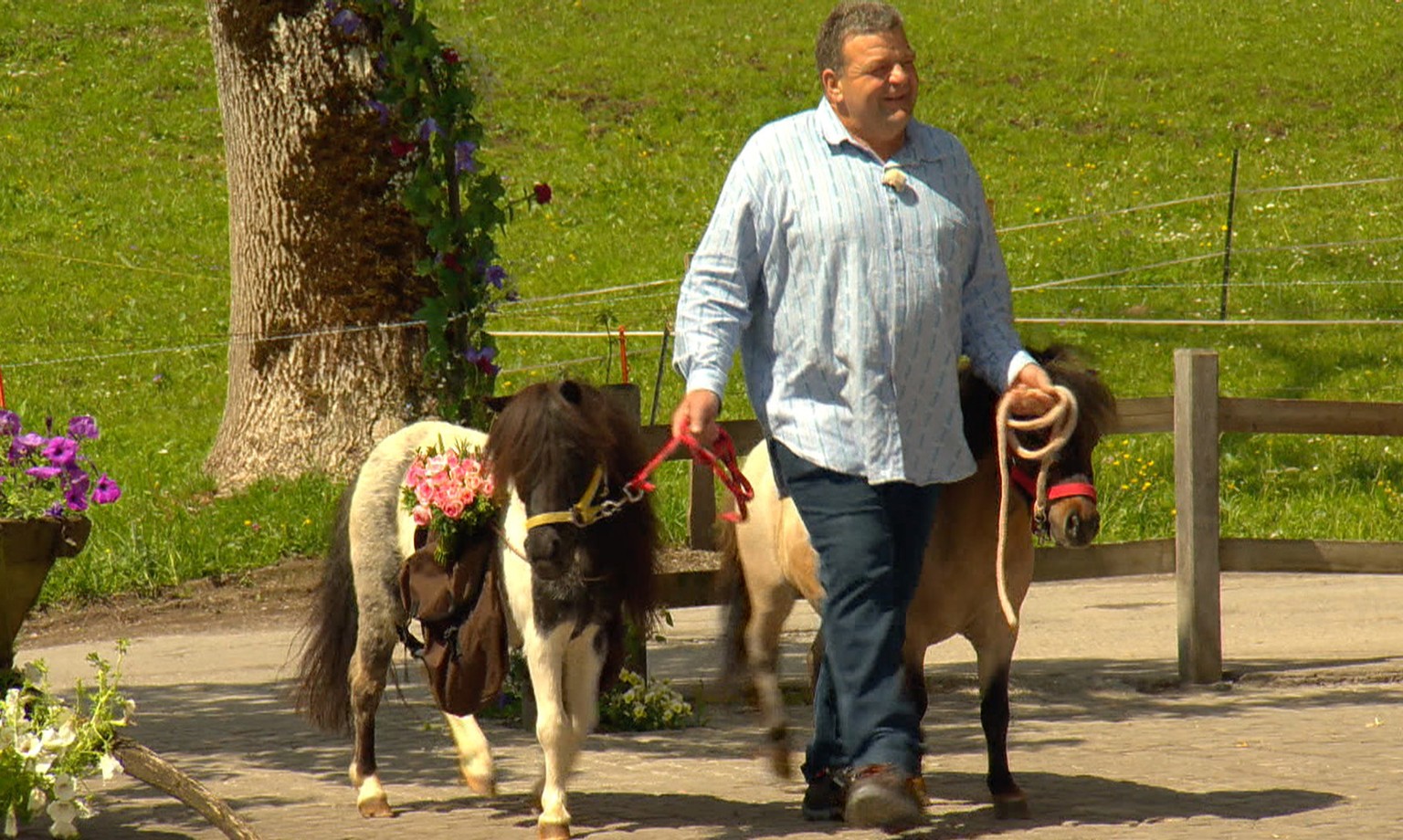 Der Mann mit den meisten Bewerbungen heisst Köbu. Wieso? Wegen der beiden Jöh-Tierli!