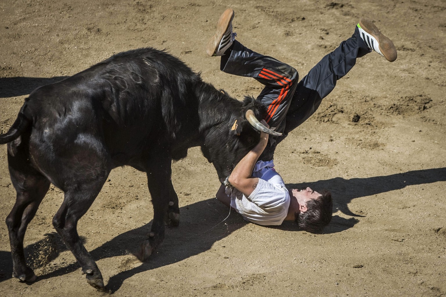 Bei den Stiertreiben in Spanien gab es dieses Jahr über zehn Tote und hunderte Verletzte.