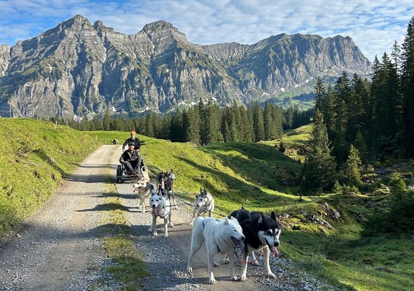 Erlebniswelt Muotathal Husky Lodge Rauszeit Schlafen bei Tieren