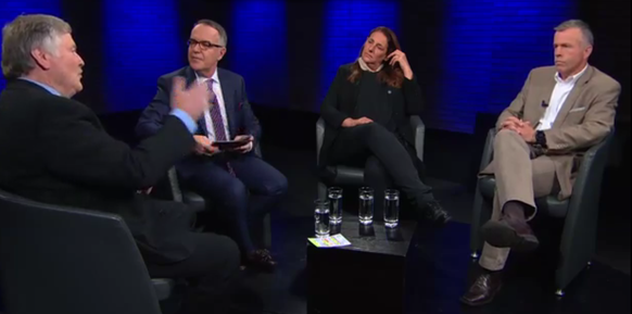 Hans Fehr, Markus Gilli, Jacqueline Badran und Lorenz Hess sprechen im «Sonntalk» über die Bundesratswahlen (von links nach rechts).