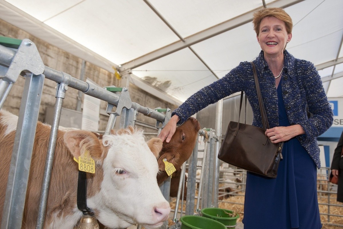 La Conseillere Federale Simonetta Sommaruga caressant un petit veau, lors de sa visite de la 93ieme edition du Comptoir Suisse de Lausanne qui a ouvert ses portes ce vendredi 14 septembre 2012. Cette  ...