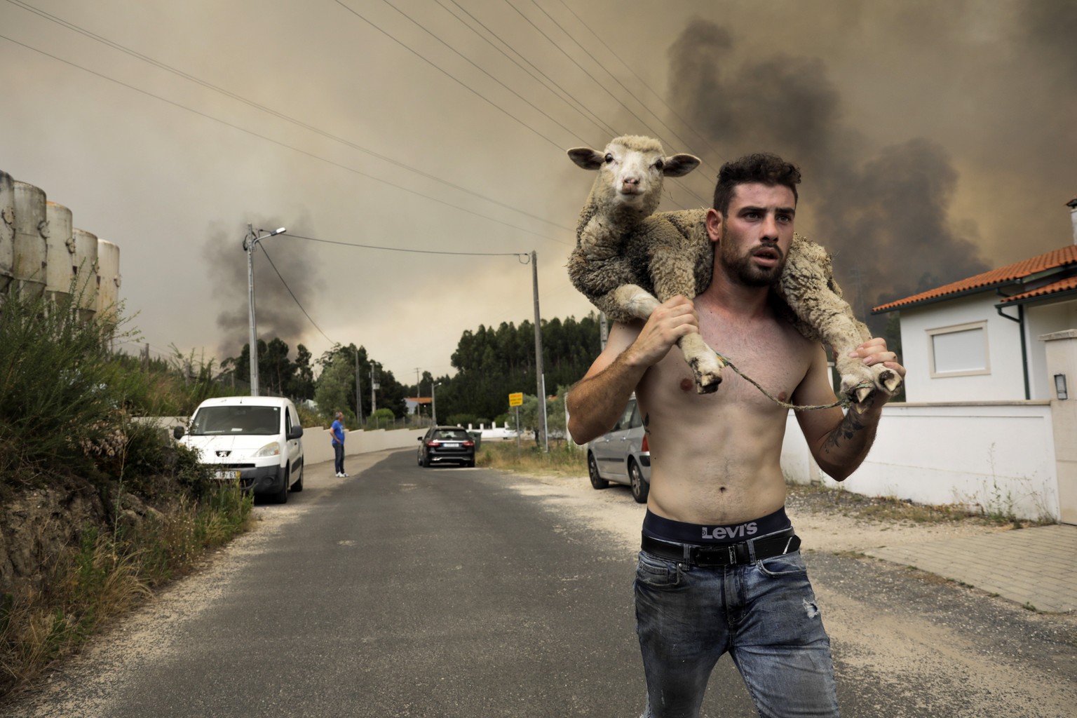 epaselect epa10066764 A man carries a sheep on his back during the fire at Boa Vista, Portugal, 12 July 2022. The fire forced shutting down the highway nr 1 in both directions. EPA/PAULO CUNHA