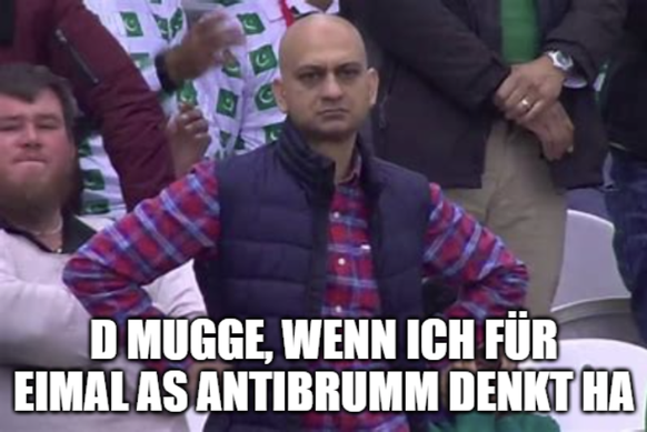 Lustige Memes zu Mücken