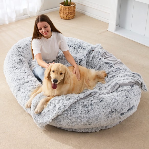 Dog bed for people