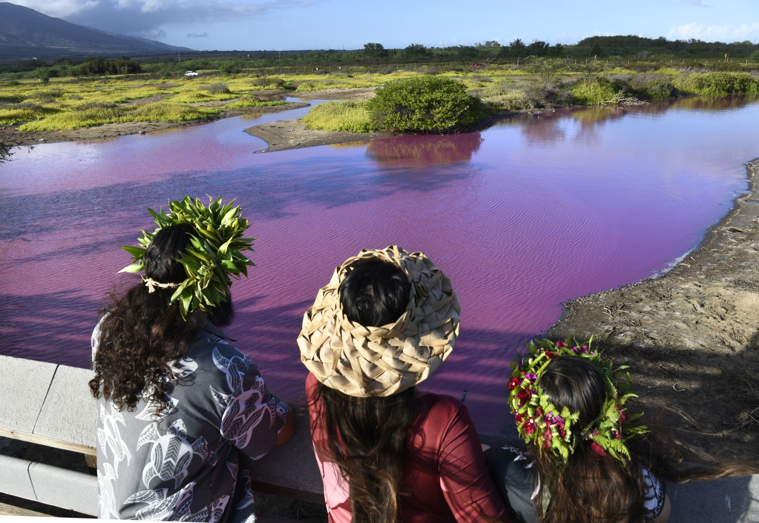 Shad Hanohano, from left, Leilani Fagner and their daughter Meleana Hanohano view the pink water at the Kealia Pond National Wildlife Refuge in Kihei, Hawaii on Wednesday, Nov. 8, 2023. Officials in H ...