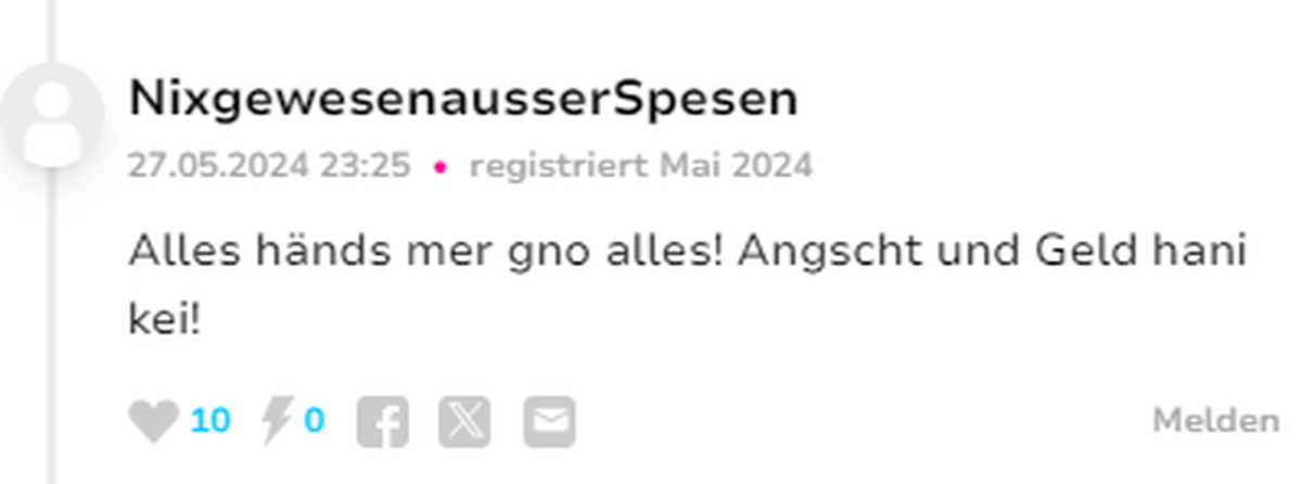 Jungedjargon watson Userinput