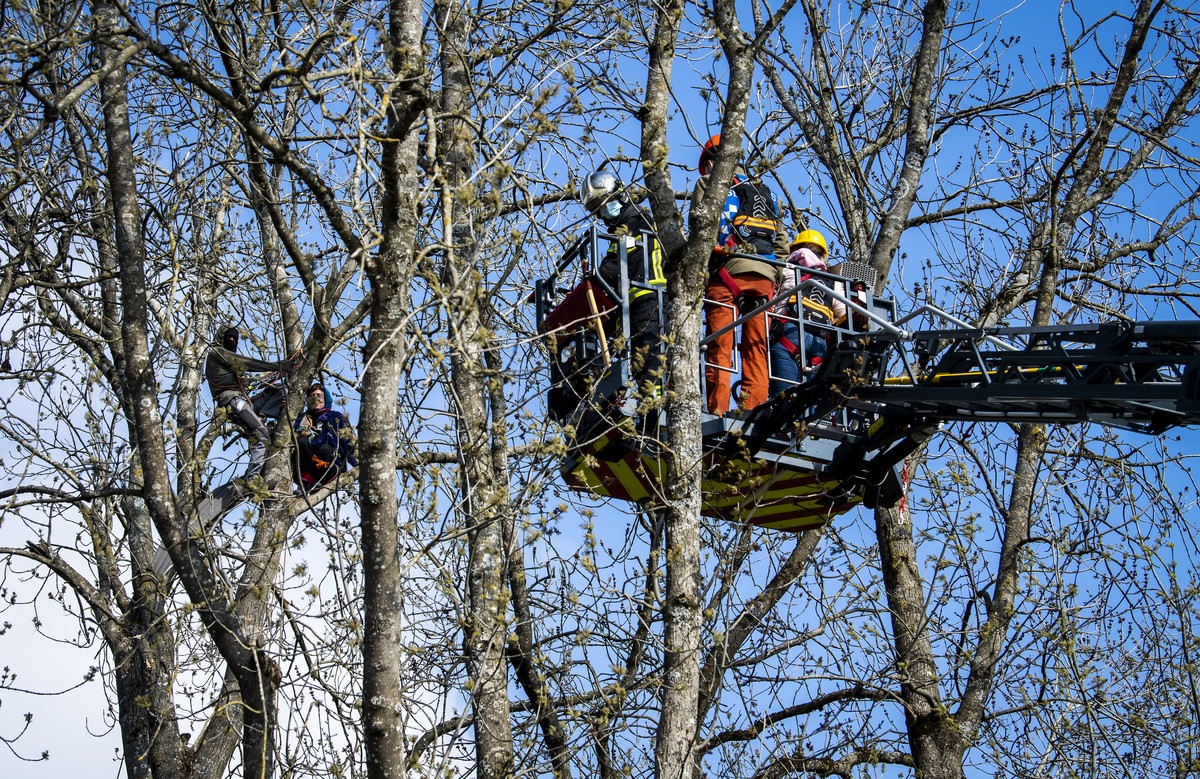 Un pompier, un medecin et une negociatrice discutent avec deux zadistes perches dans les arbres qui resistent encore apres l'evacuation de la ZAD de la Colline (Zone A Defendre) proche de la carr ...